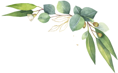 Green watercolor wreath. Eucalyptus leaves.