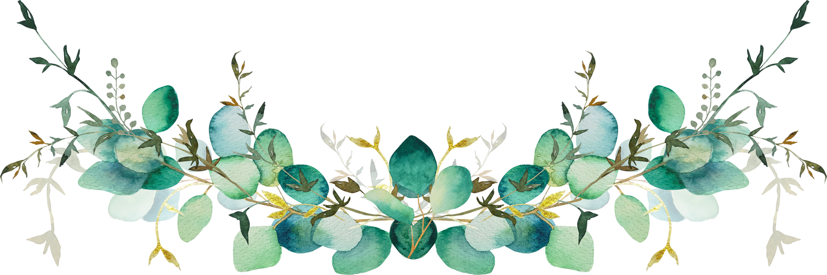 Green Eucalyptus Branch Watercolor Clipart